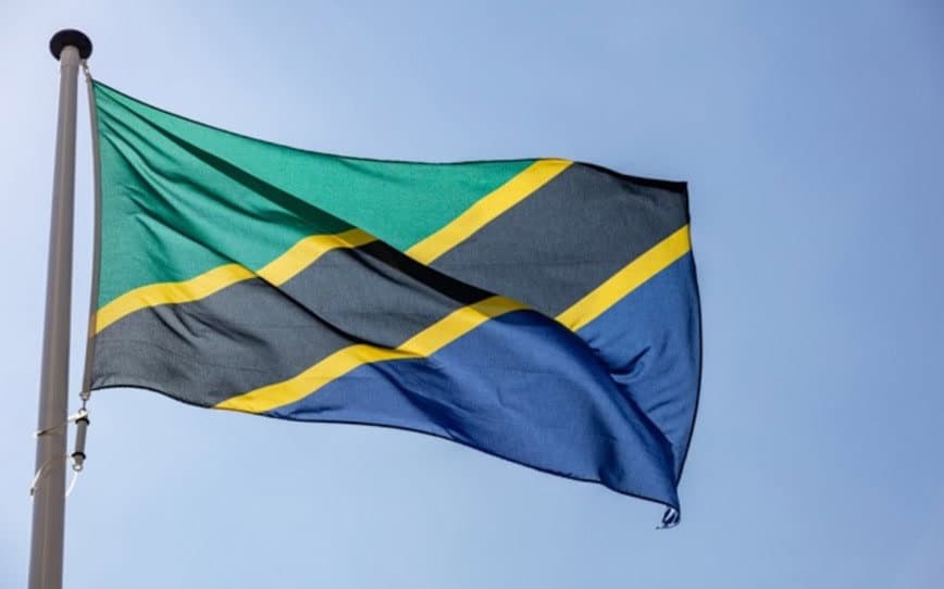 2025 Tanzanian general election