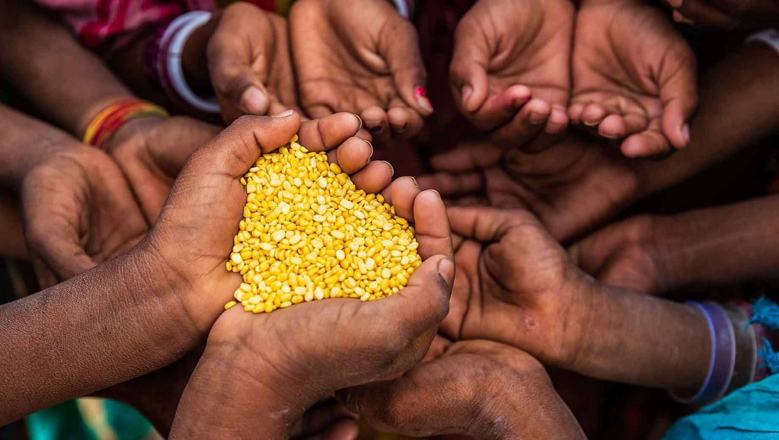 Food Insecurity: A Multifaceted Crisis with Racial Blind Spots